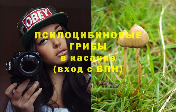 герыч Тавда