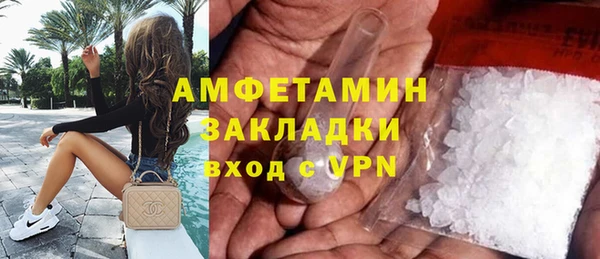 стаф Тайга