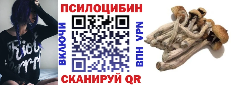 Псилоцибиновые грибы мицелий как найти закладки Староминская